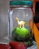 Dino Light Jar