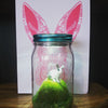 Little Rabbit Light Jar